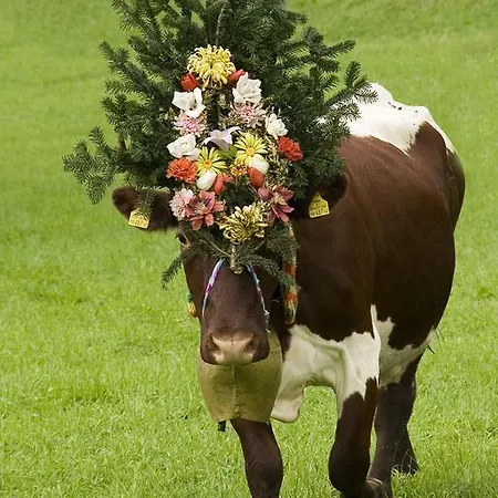 Einoedberg *