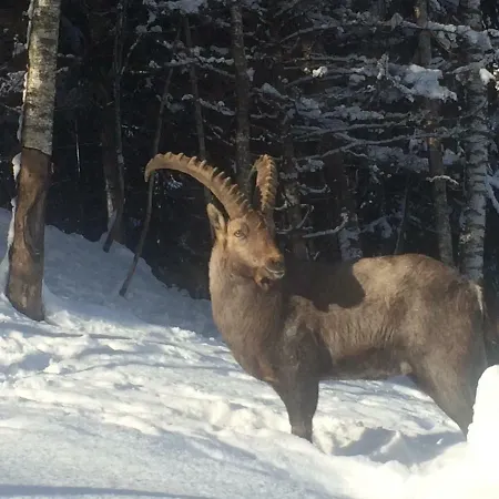 Einoedberg Apartamento