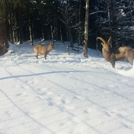 Apartamento Einoedberg *