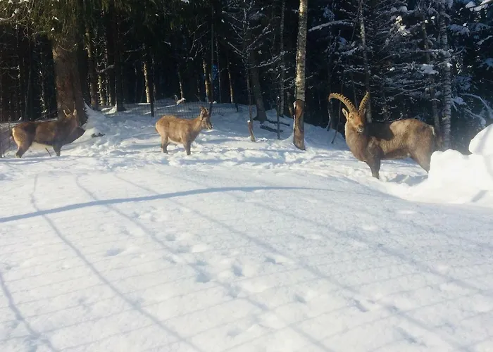 Lejlighed Einoedberg *